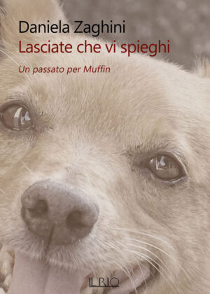 Lasciate che vi spieghi