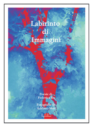Labirinto di immagini