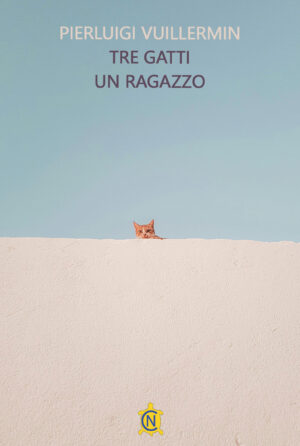 Tre gatti un ragazzo
